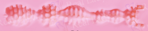 B1