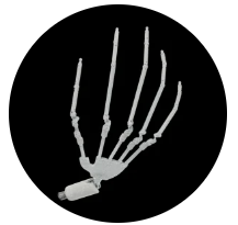Ball Joint Finger
