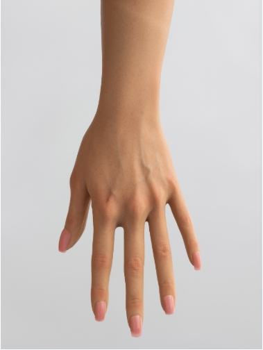 Hard Hand(Free)