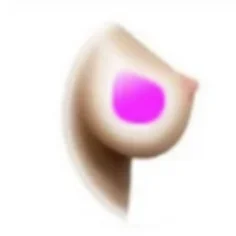 Gel Breast(Free)