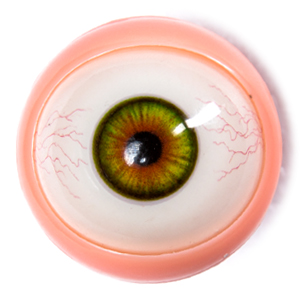Movable Eye +  Blood Vessels（Free）