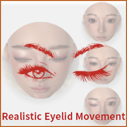Eyelid Movement