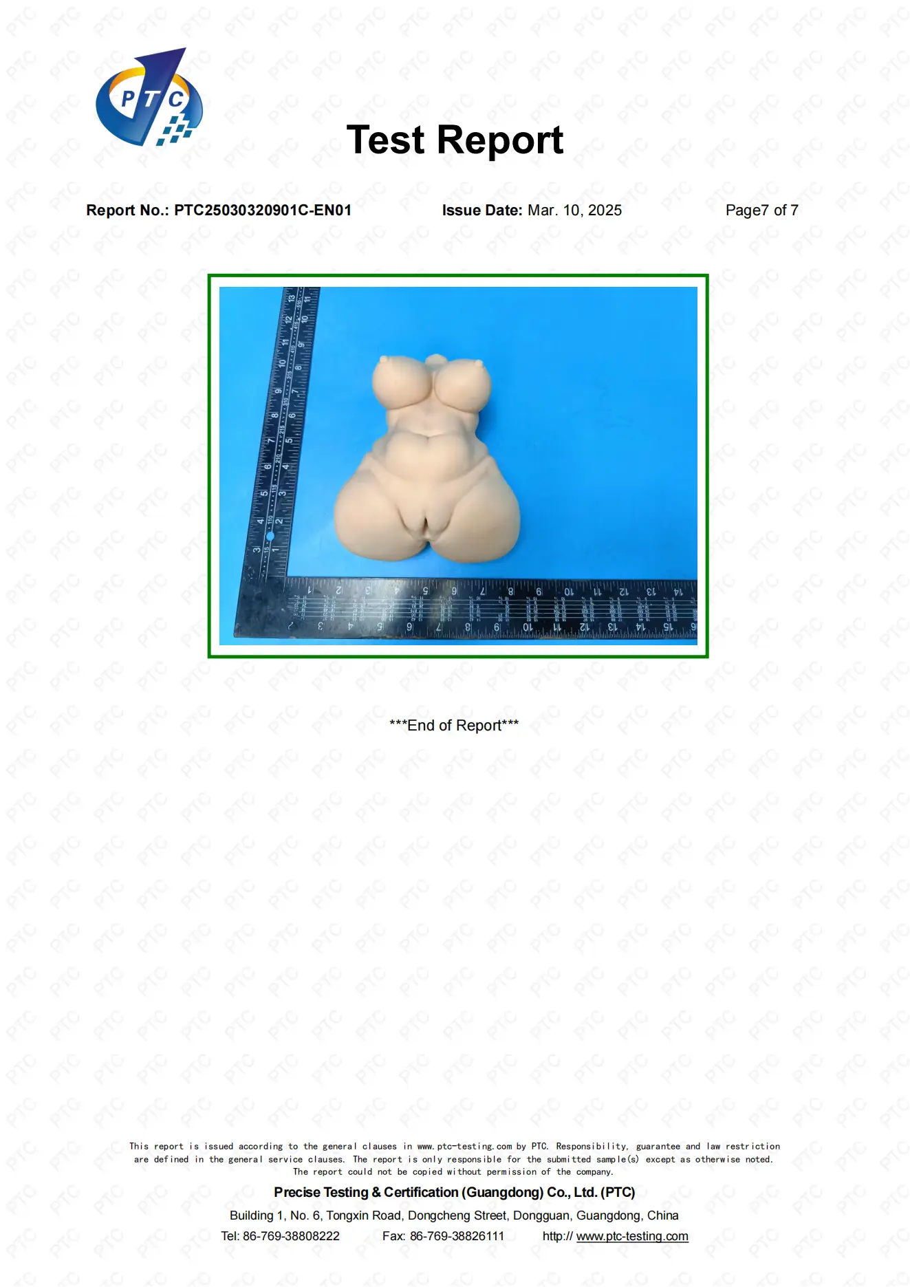 PTC25030320901C-EN01 Silicone_06