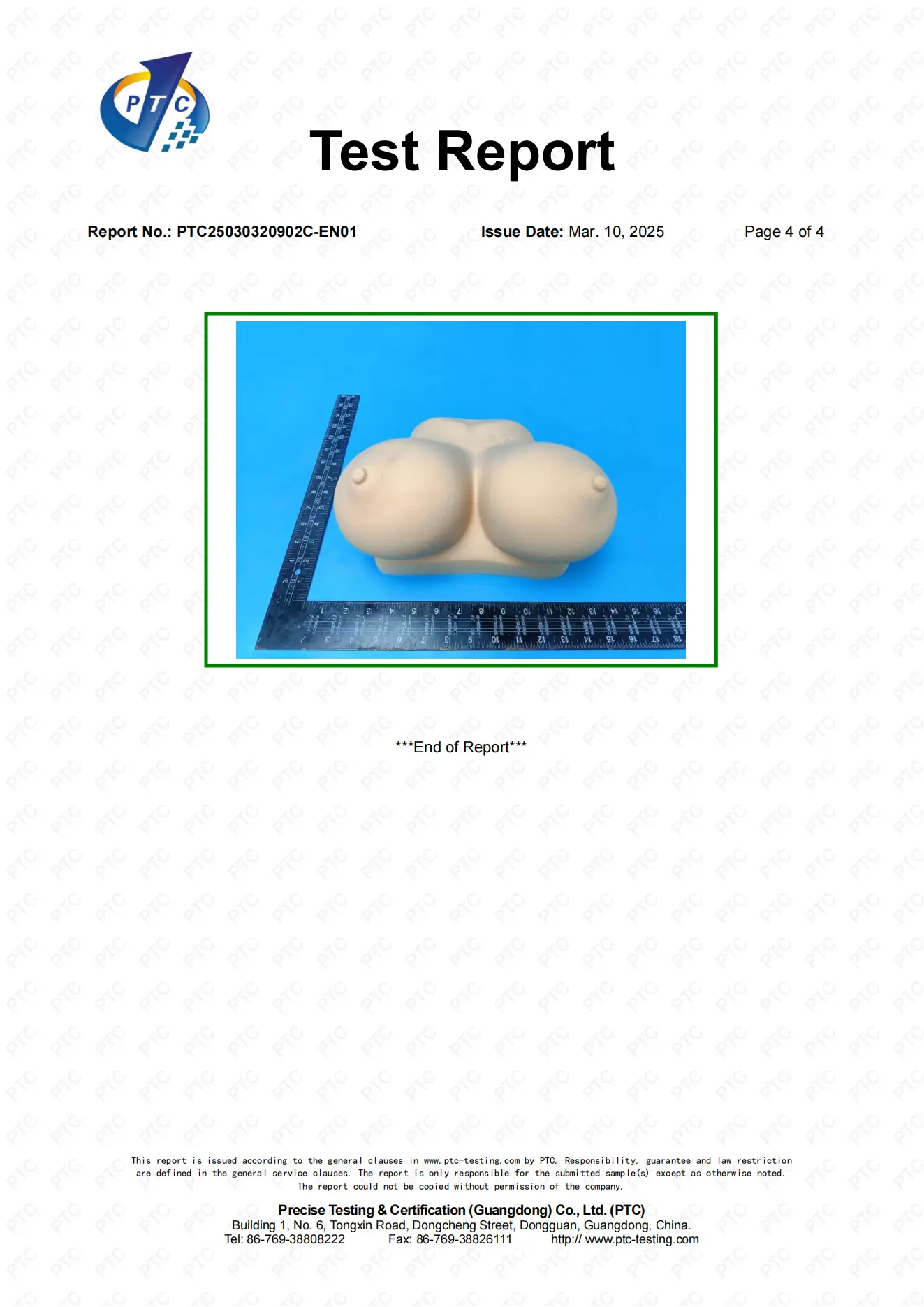 PTC25030320902C-EN01 Silicone_03
