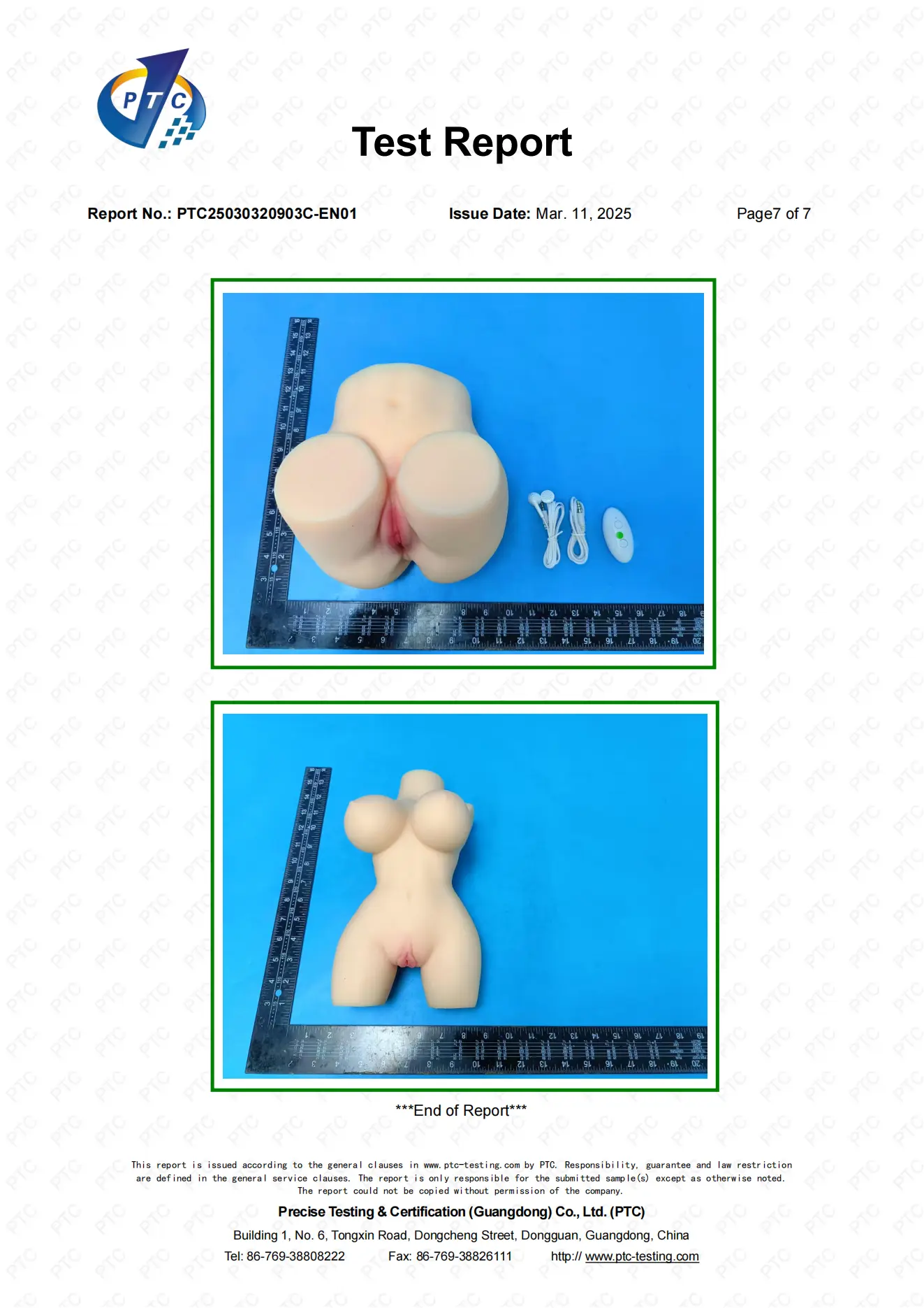 PTC25030320903C-EN01 TPE_06