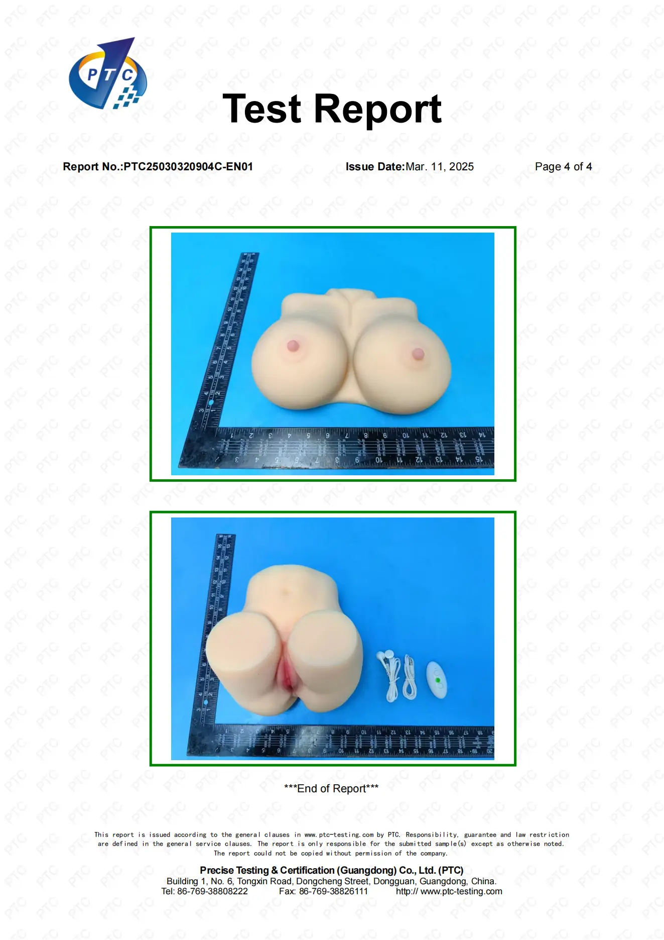 PTC25030320904C-EN01 TPE_03