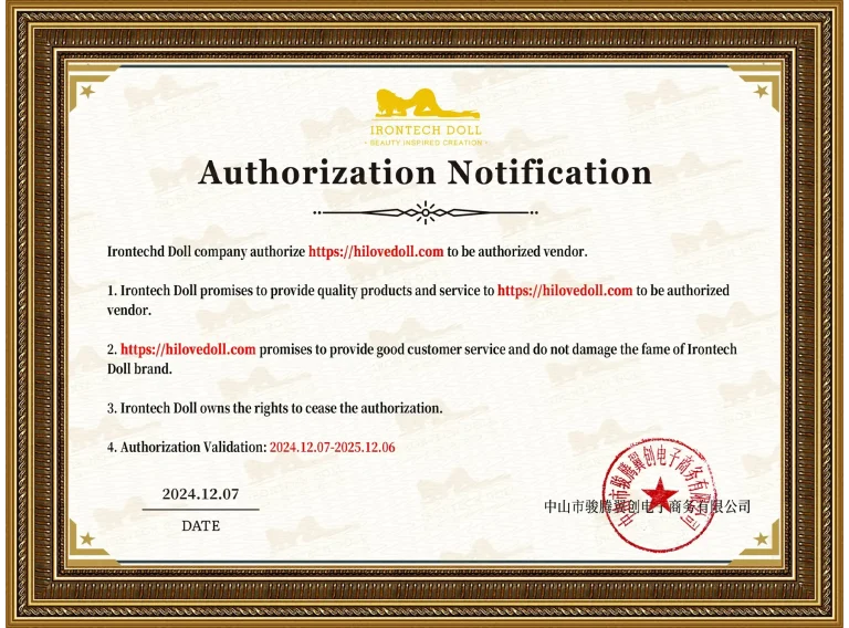 Irontech Doll Certification from hilovedoll.com