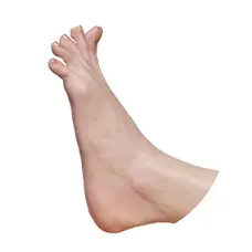 Toe Joint