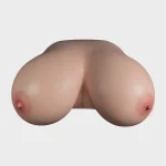 NO 2