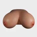 NO 3
